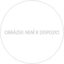 Náhled - Nevydané mince Jiřího Harcuby - Zal. kláštera Zlatá Koruna 34mm stříbro patina